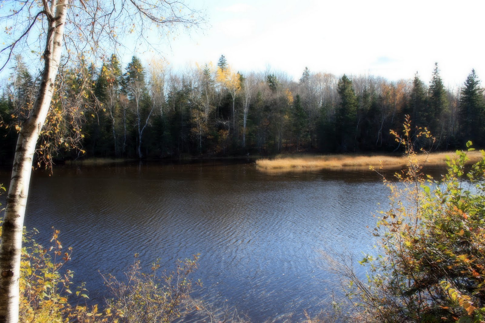 Carol Steel Shediac River, New Brunswick
