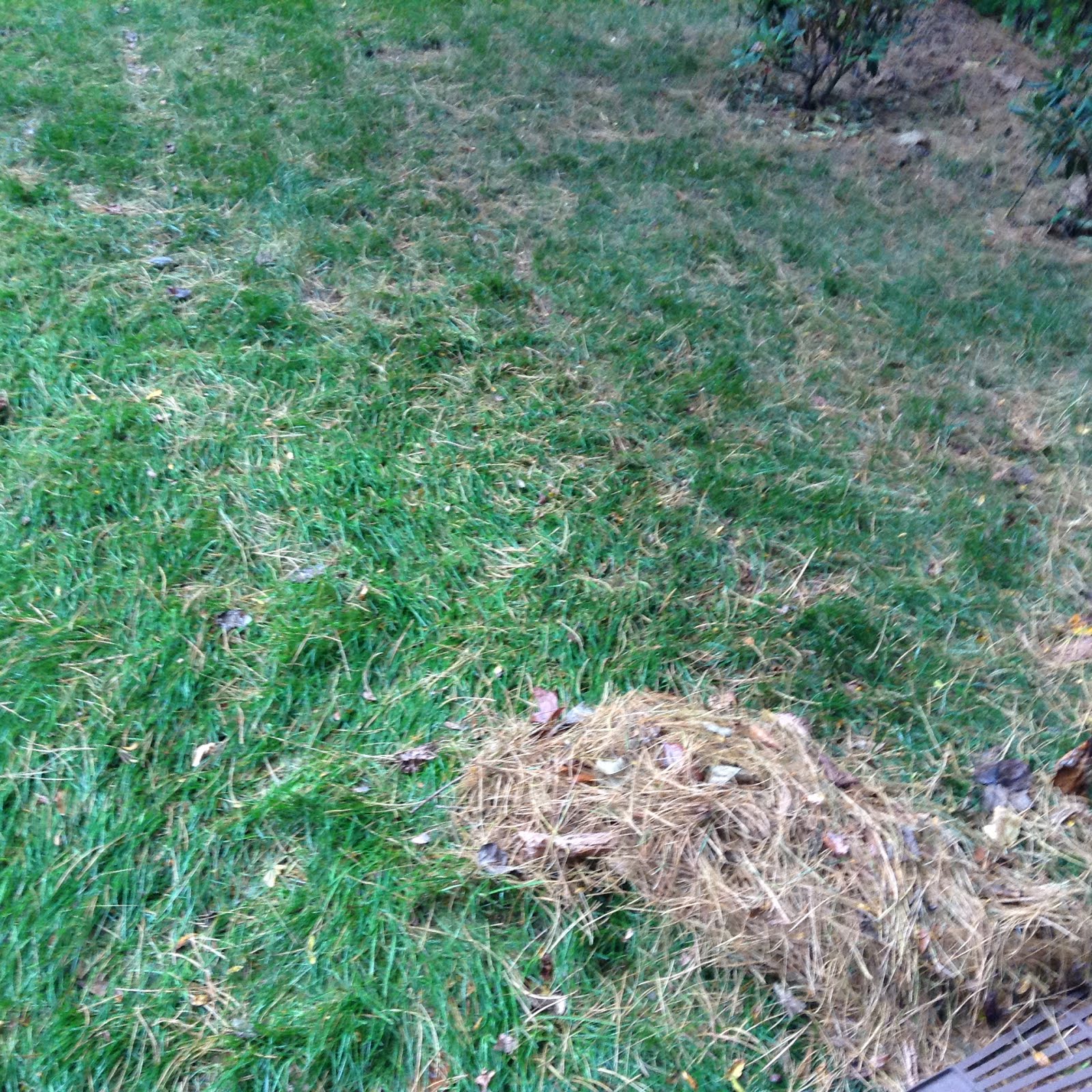 Random lawn and garden tips