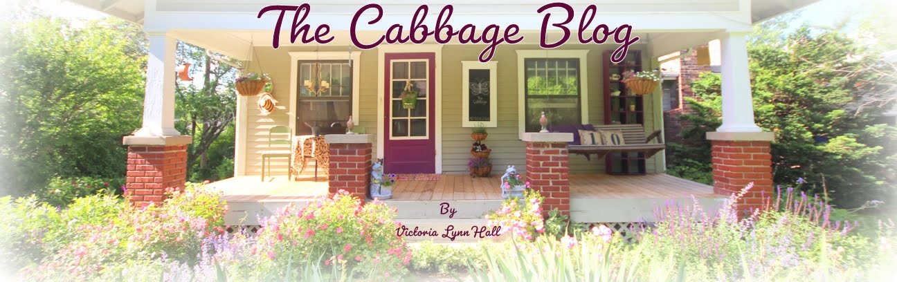 The Cabbage Blog
