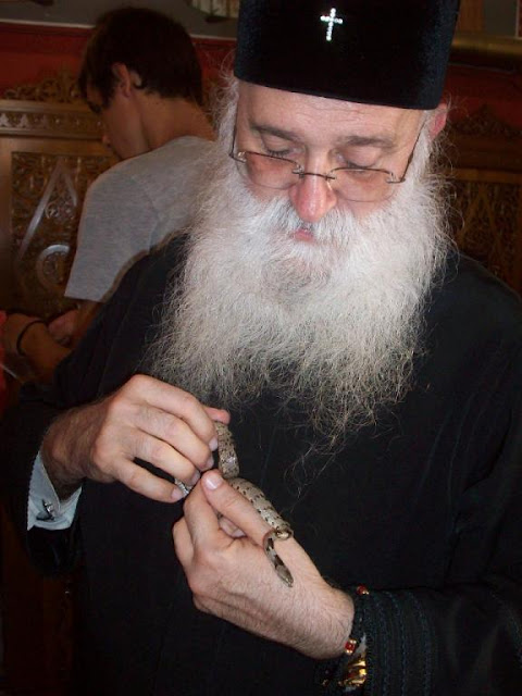 Η ιστορία πίσω από το θαύμα με τα φιδάκια