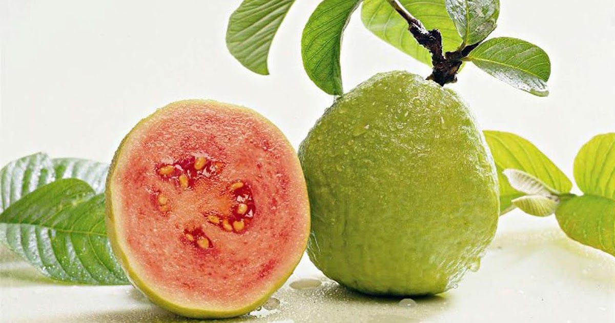 Gambar Mewarnai Buah Jambu Air - GAMBAR MEWARNAI HD