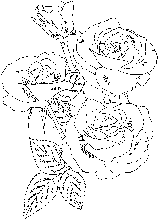 una classe coloring pages of a rose - photo #27