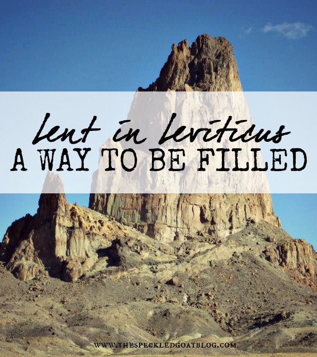 christian devotion devotional lent lenten short reading for lent leviticus bible study sacrifices and Christianity