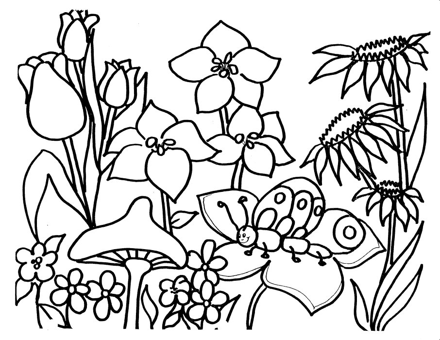 garden coloring book pages - photo #4
