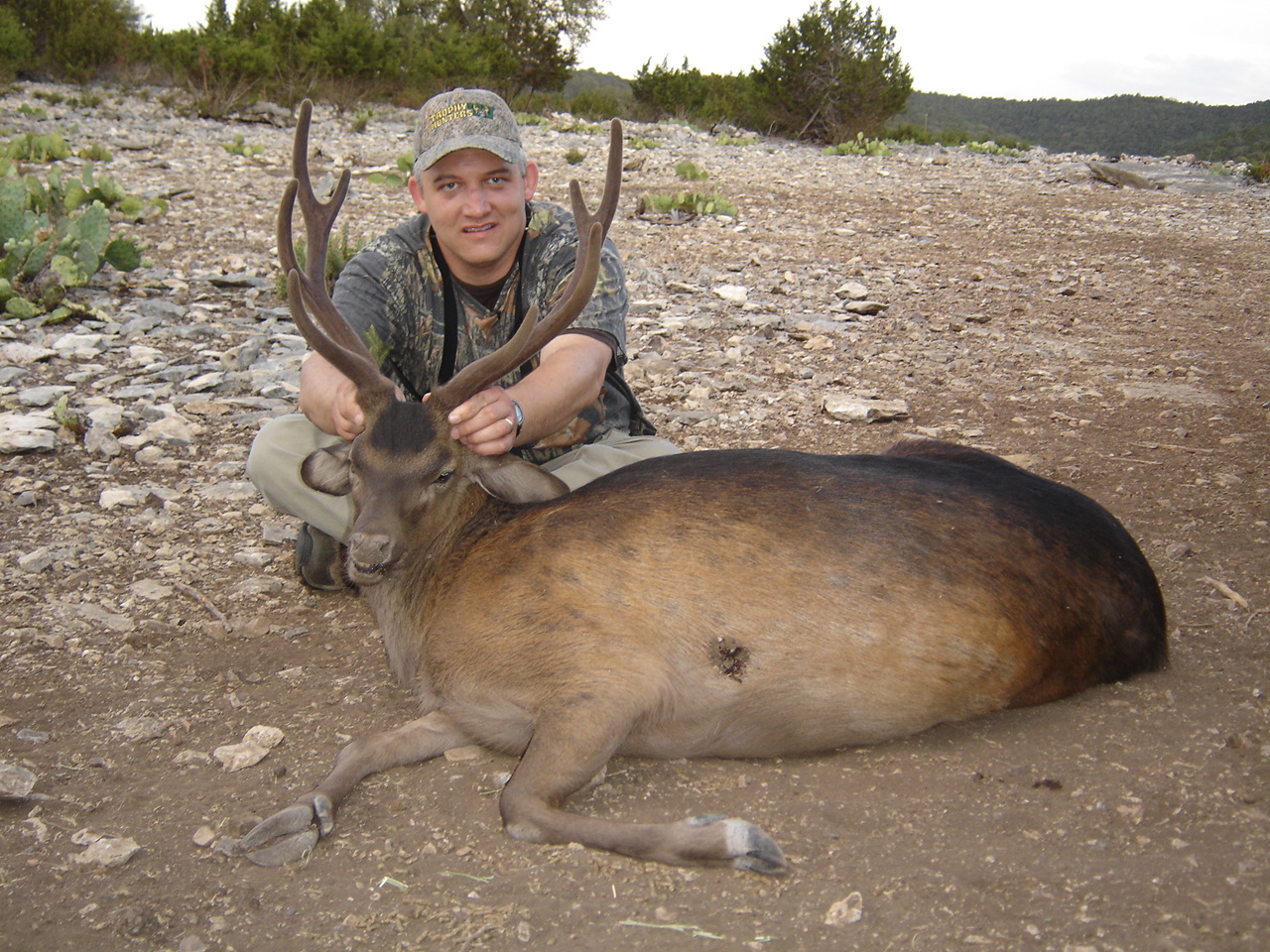 eKLIPzblog EXOTIC DEER HUNT IN TEXAS HILL COUNTRY