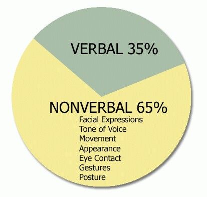 verbal & non verbal cues