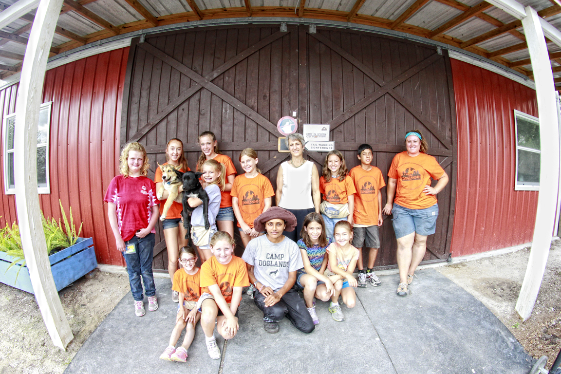 The Doglando Blog Orlando Dog Grooming Orlando Dog Training Dog