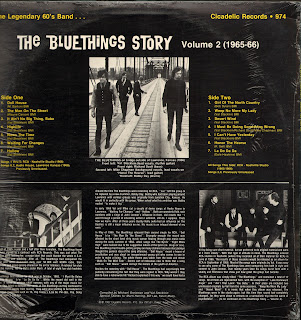 The Blue Things - The Bluethings Story Vol.1-2