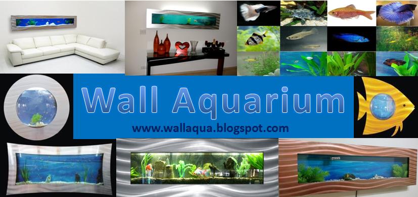 Wall Aquarium at Home