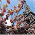 Paris in the Springtime