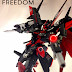MG 1/100 Freedom Gundam "Madness" Custom Build