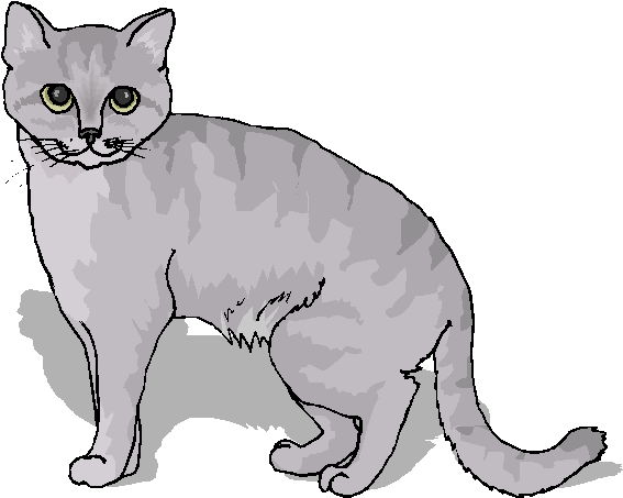 free funny cat clip art - photo #11