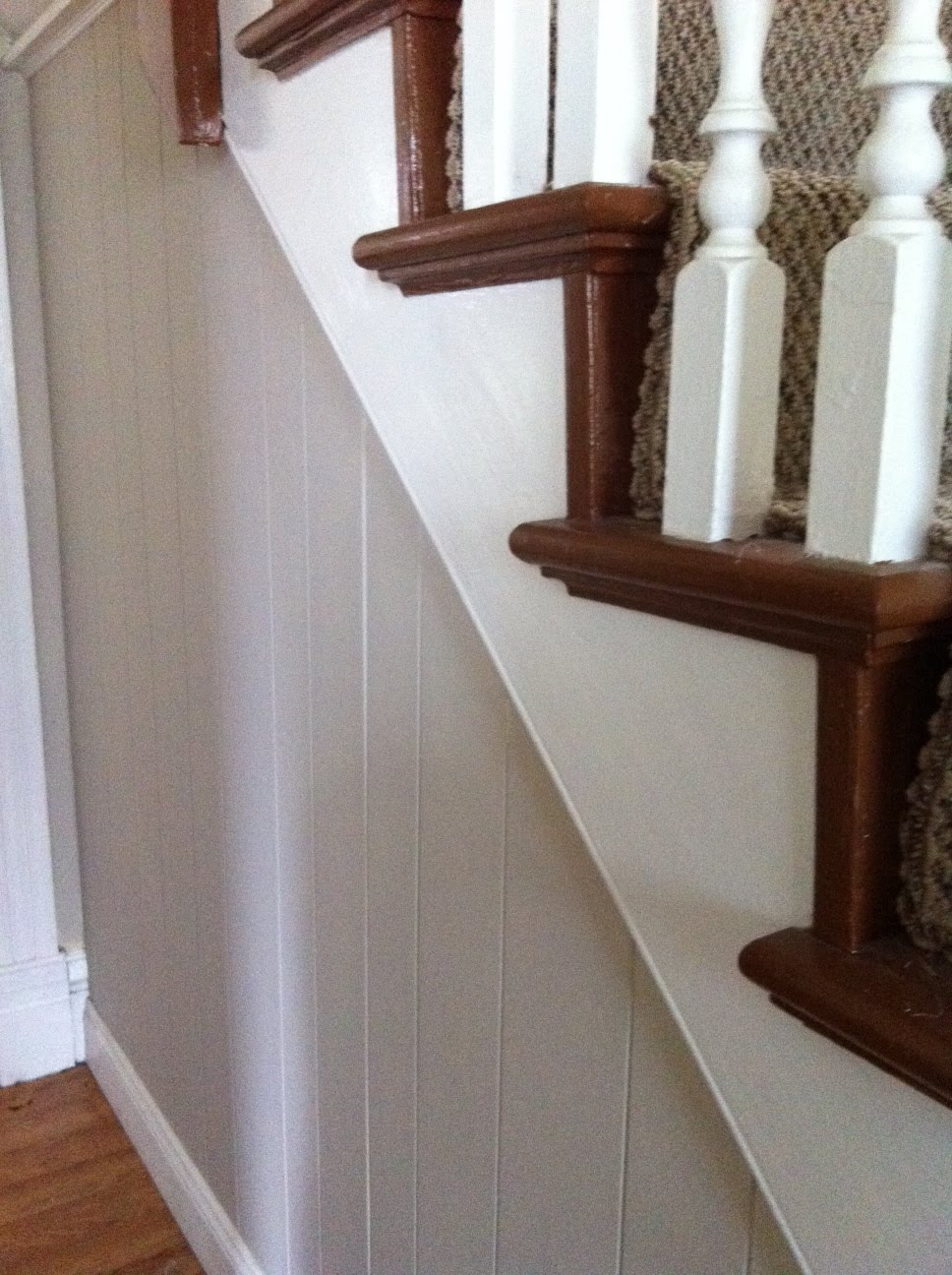 a shecago bear transplanted to...RurrMisurr... Revere pewter by