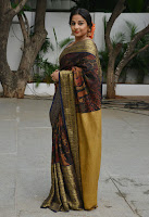 Vidya Balan Photos in Saree at Handloom Promotion TollywoodBlog