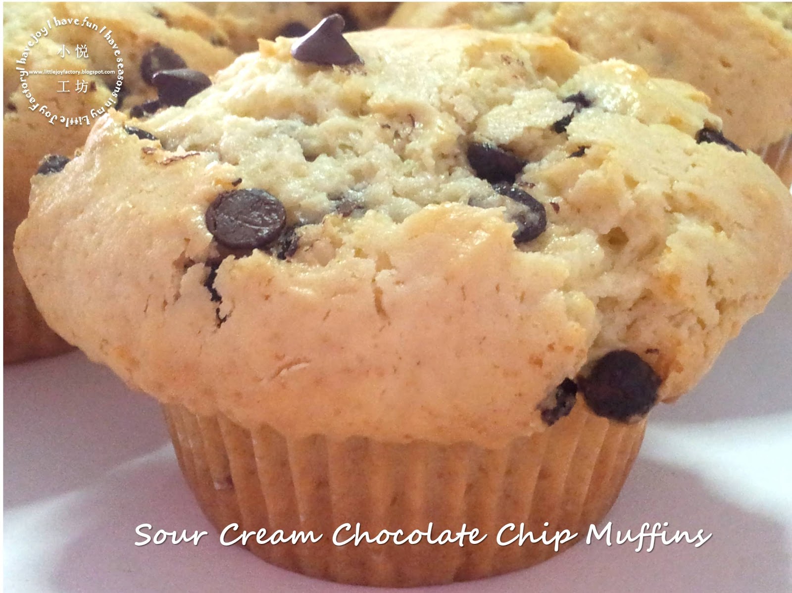 Sour Cream Chocolate Chip Muffins 酸奶油巧克力粒瑪芬