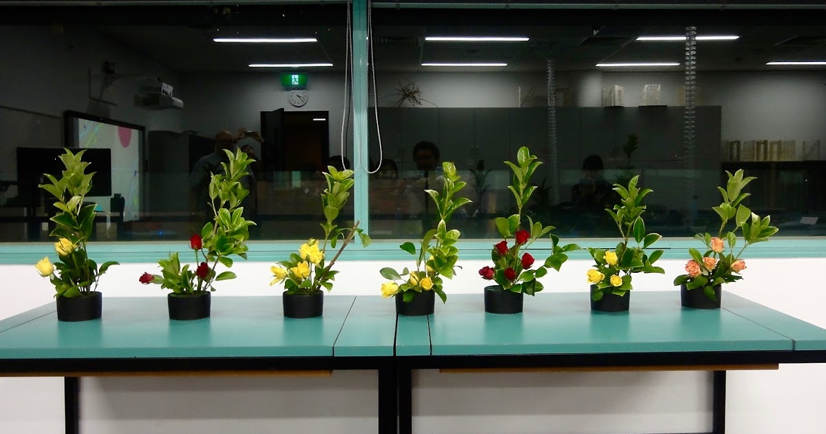 RMIT Short Courses From Ikebana to Contemporary Art Shoso Shimbo