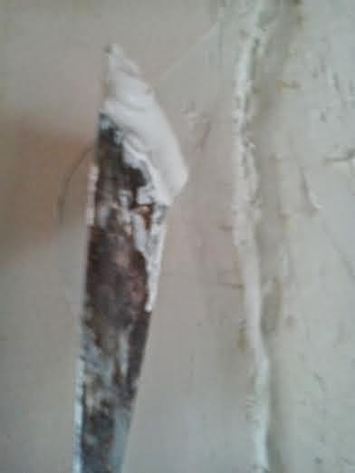 Imagen 0