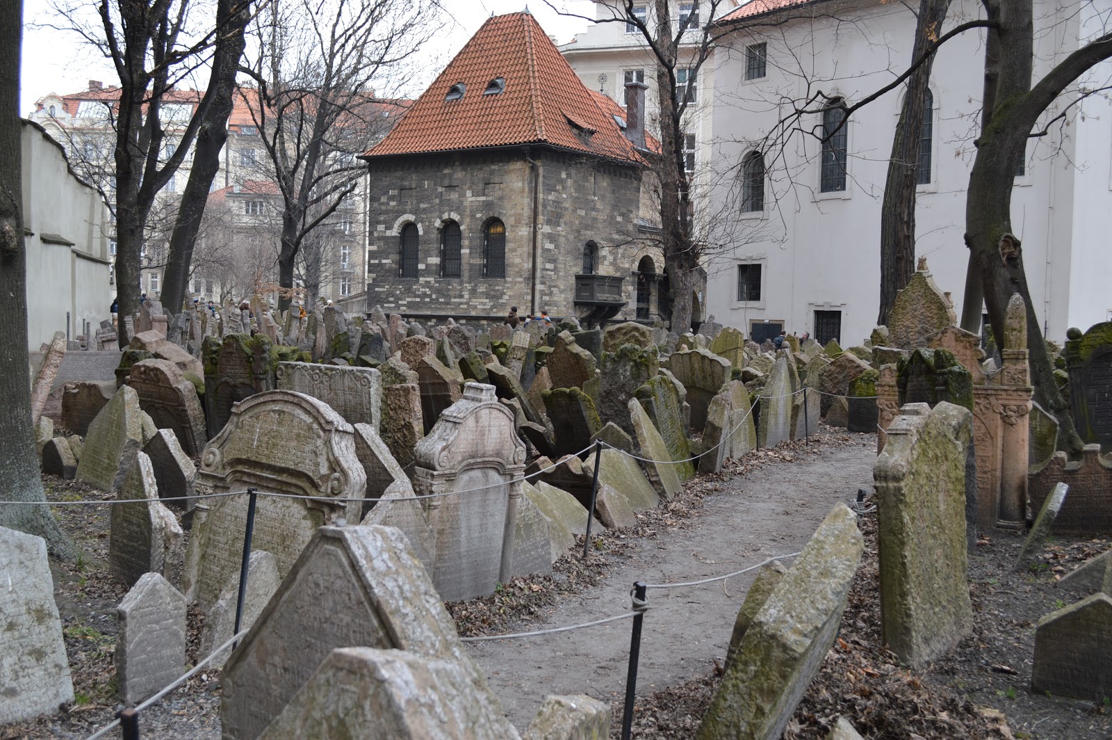 Holocaust Study Tour: Day 6 - Prague and Dinner at the Vavrecka's