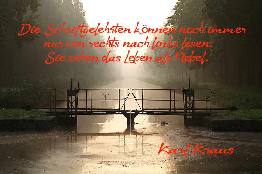 meintaginbildern Gedanken zum November