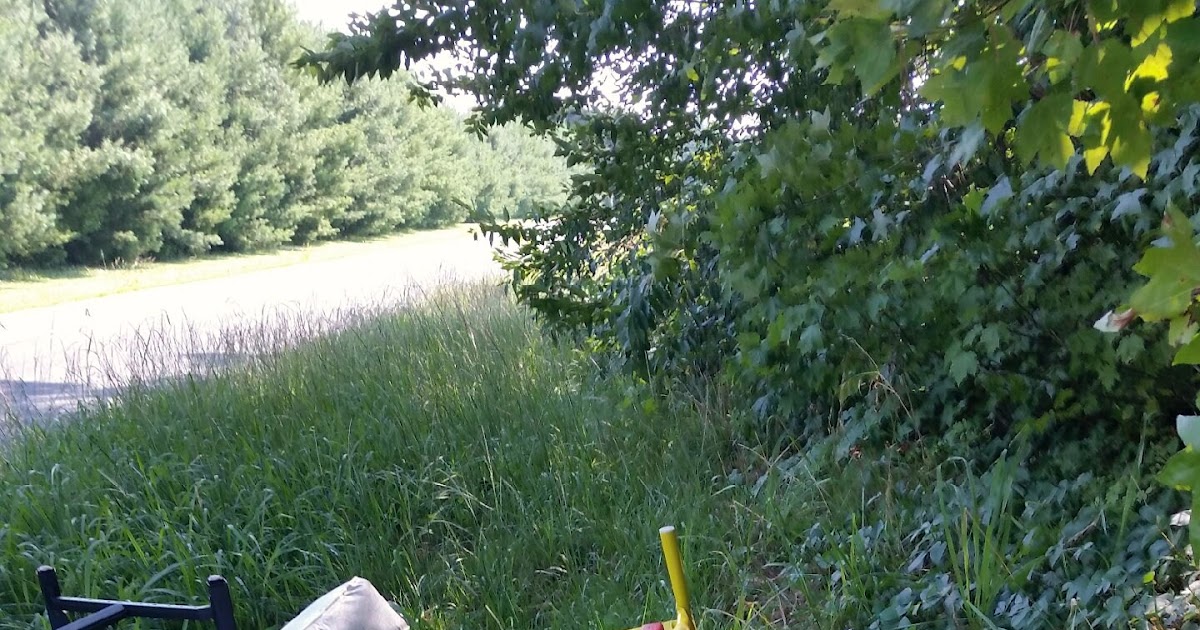 Salisbury News This Is What Happens When The Dump Is Closed