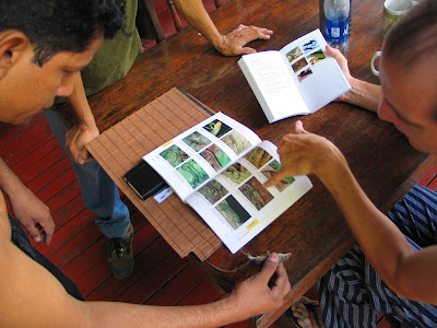 wildlife Nicaragua