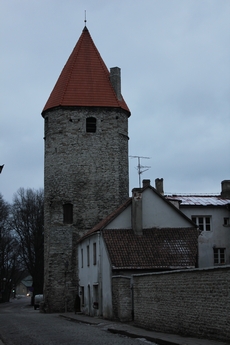 Día 8: Tallin. - Navidades en el Báltico (11)