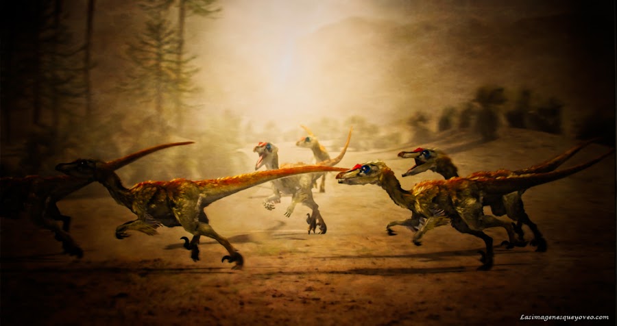 Museo de Paleontología de Castilla la Mancha (MUPA). Tierra de Dinosaurios