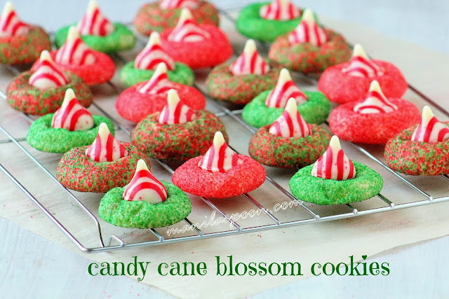 These festive classic Candy Cane Blossom Cookies are not just gorgeous they are delicious, too. Perfect as gift for teachers, family, and friends.I gave this as a gift in a mug and it was well-loved! | manilaspoon