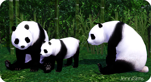 My Sims 3 Blog: Pandas by JenniSims
