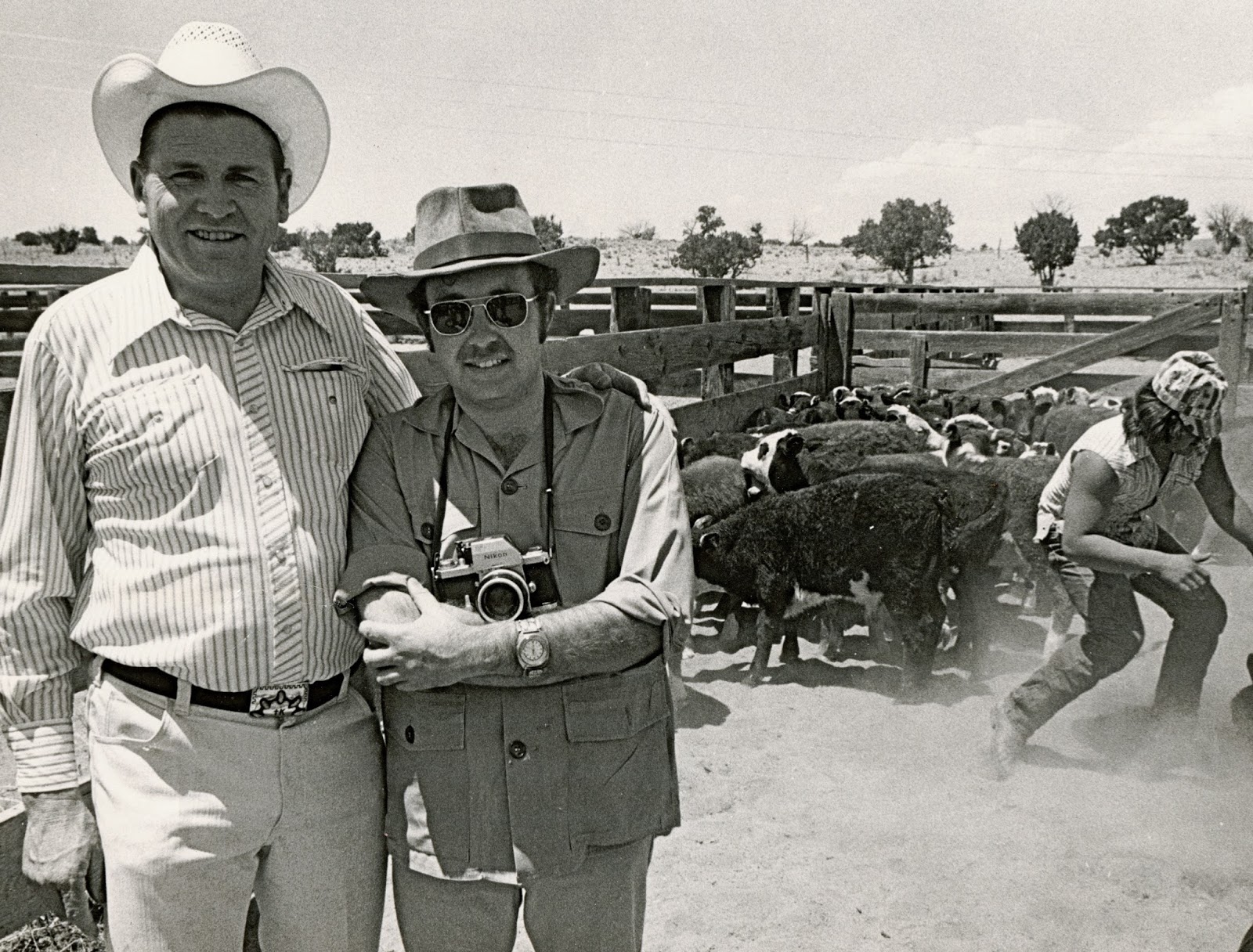 Only in New Mexico Remember the Alamo