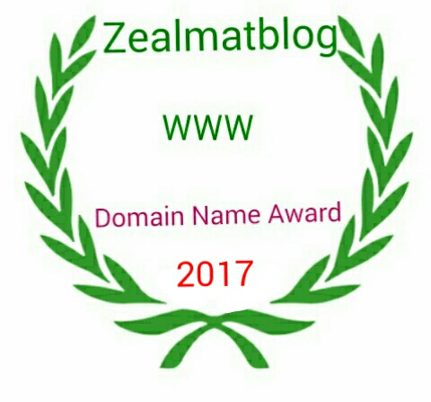 Zealmatblog 2017 Domain Name Award Winner