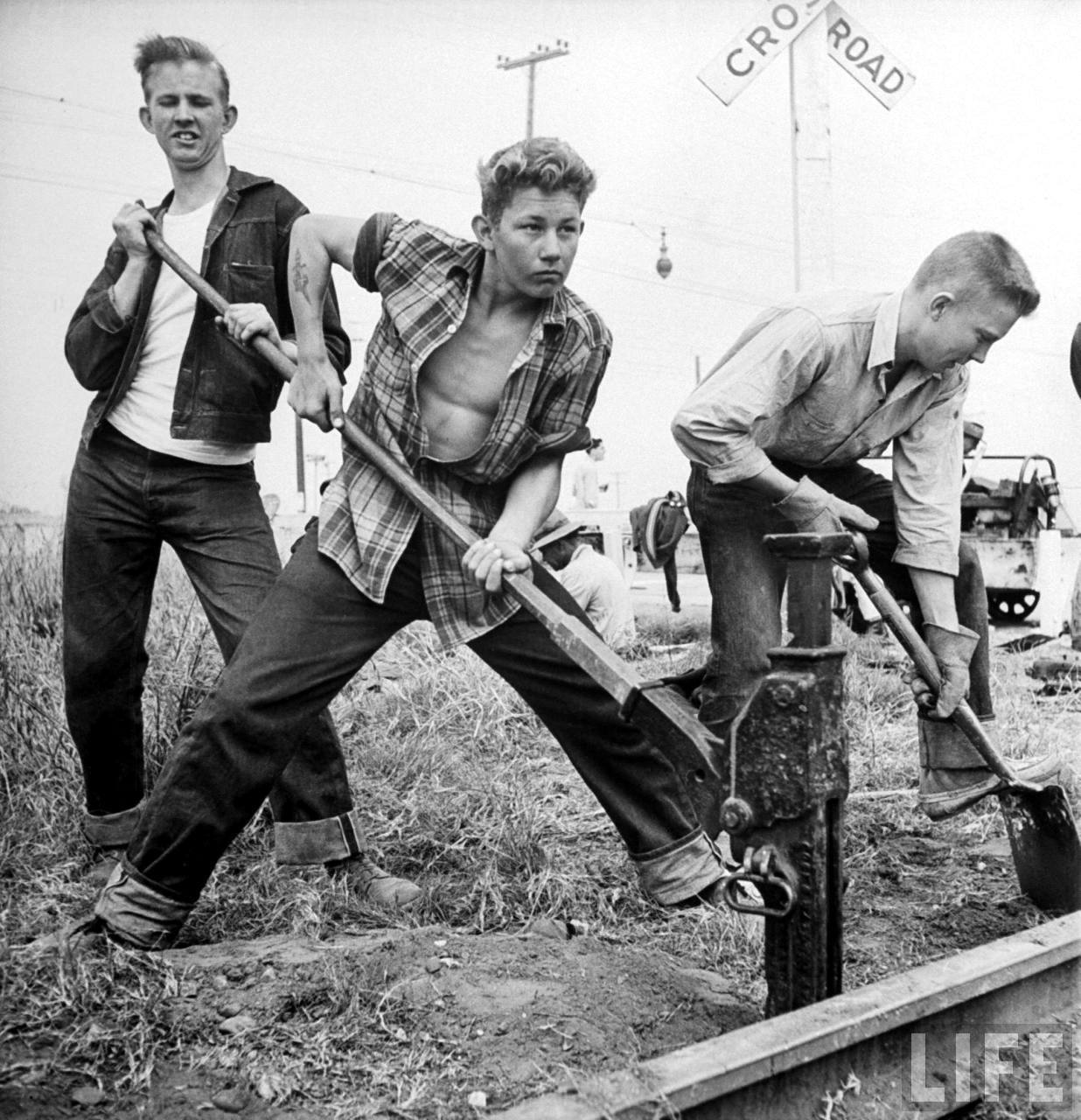 Photo of the Day Rivet Head