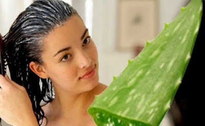 Cách chữa rụng tóc hiệu quả bằng gừng tại nhà