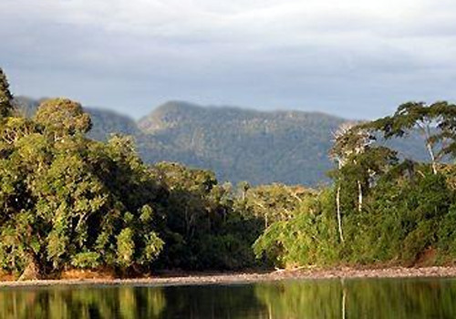 Declaracin de la Reserva Comunal Amarakaeri como rea protegida