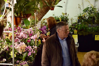 , Mostre primaverili: Horti di Veio e Monteporzio catone 2017, diarid'orchidee