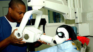 Radiology Technician Schools In Houston Tx  School Choices