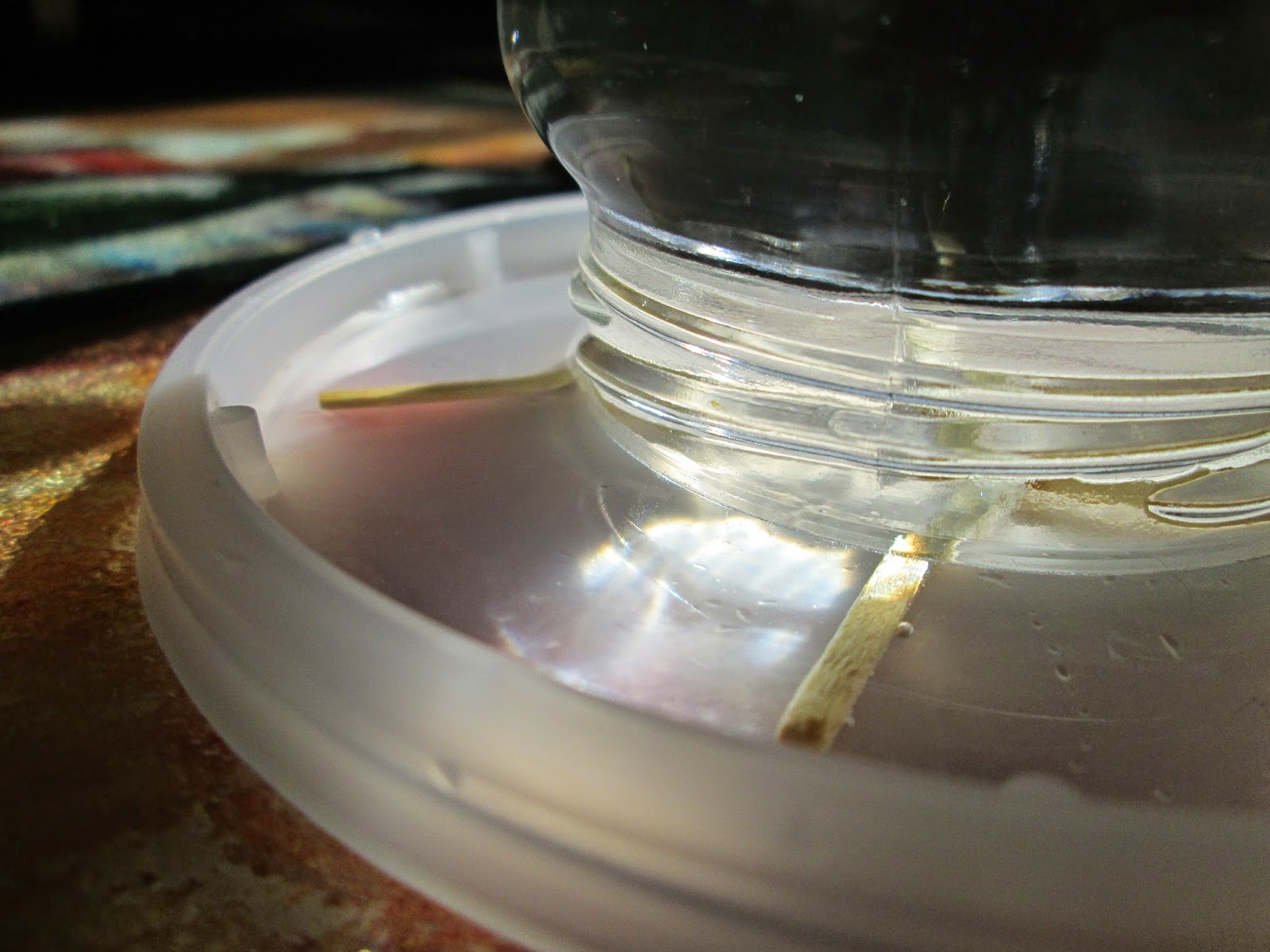 Open Coop Baby Chick Waterer