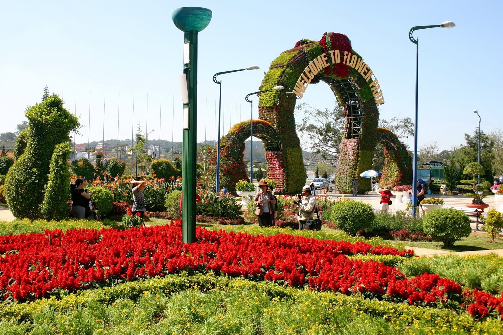 Best time to visit Dalat | All Things You Should Know - TripJalan