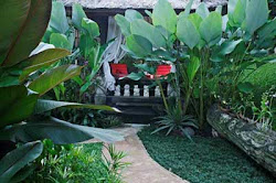 garden tropical plans