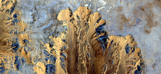 Stone plant fantasy,Abstract Naturalism,abstract photography deserts of Africa from the air,abstract surrealism,mirage in desert,fantasy forms and colors in the desert,plants,flowers, leaves,roots Stone plant fantasy,Abstract Naturalism,abstract photography deserts of Africa from the air,abstract surrealism,mirage in desert,fantasy forms and colors in the desert,plants,flowers, leaves,roots