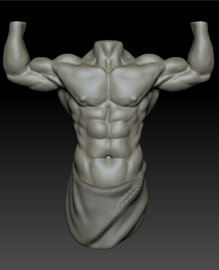 Torso Muscle Anatomy For Artists / muscle diagram torso | Muscle