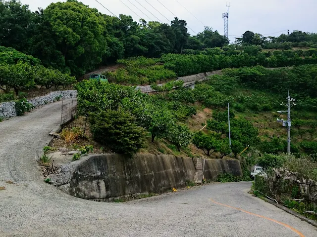 とびしま海道　岡村島　ナガタニ展望台　激坂