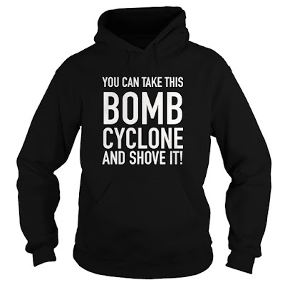 I Survived the Cold Weather Bomb Cyclone Storm T-shirt 