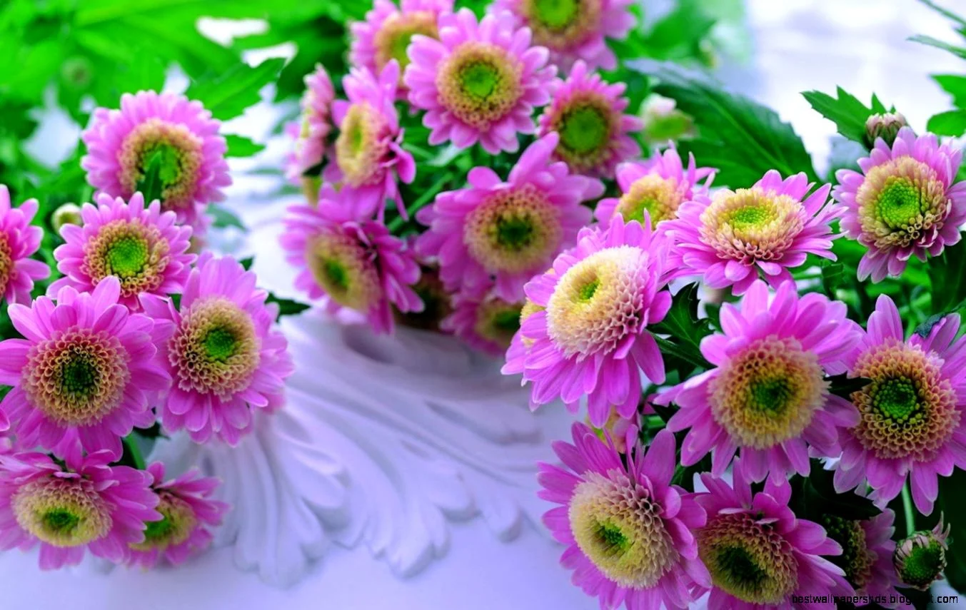 Captivating Cute Types Of Flowers Photo for Desktop