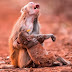 22 Photos That Utterly Capture Powerful Feelings