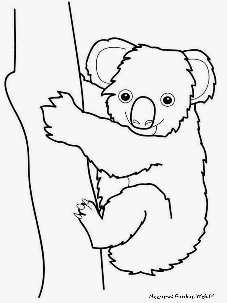 Gambar Koala Memanjat Pohon Untuk Mewarnai
