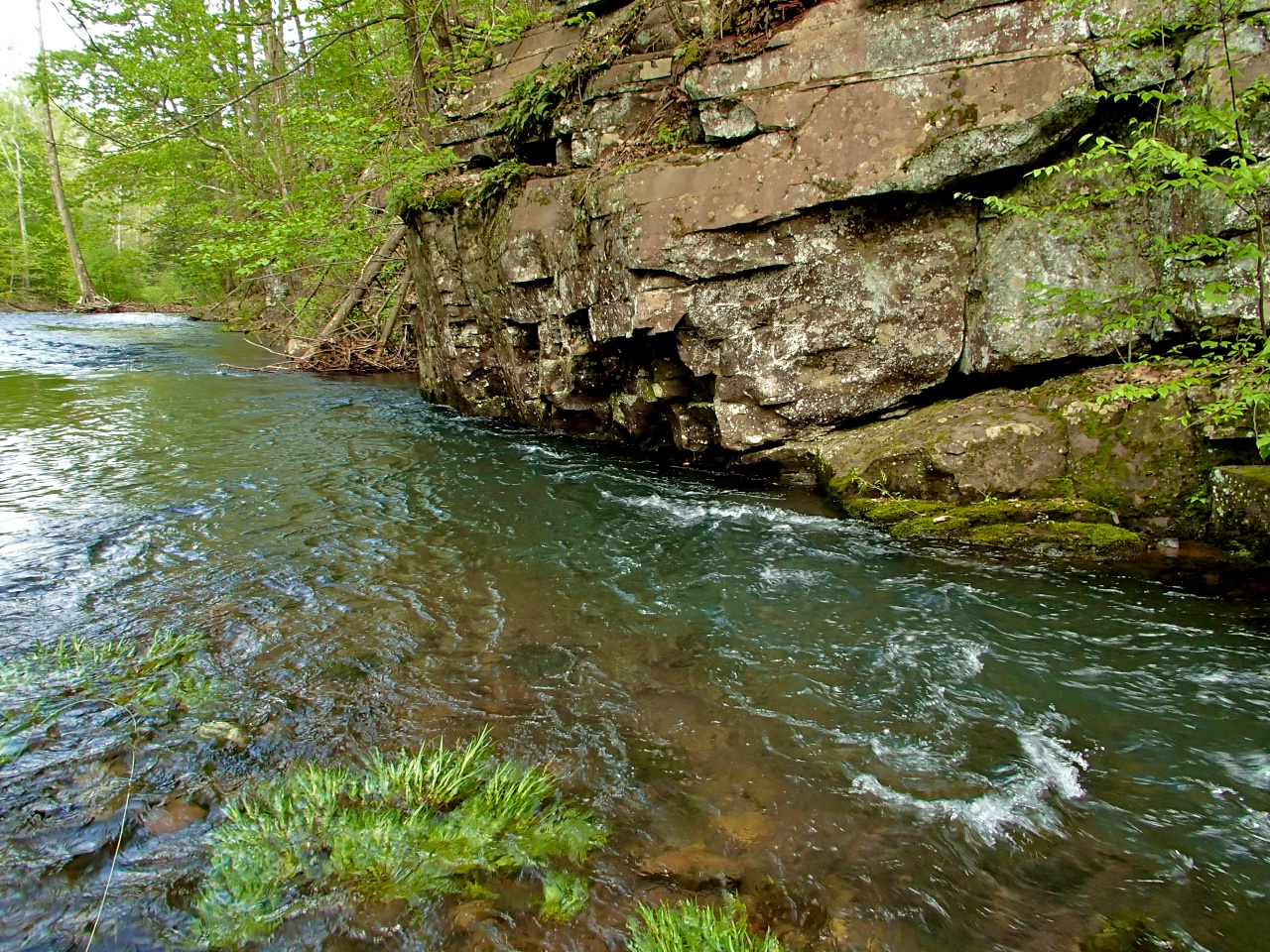 Sweet and Salt Skidmore Fork, Washington National Forest, VA