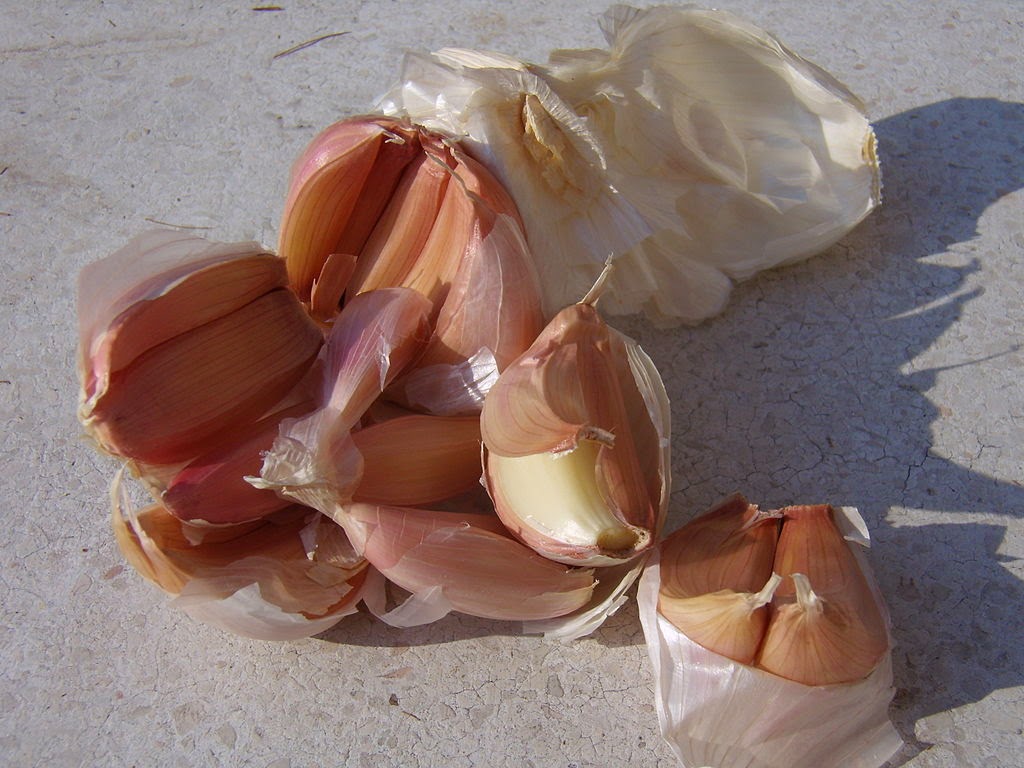 HOW TO TREAT A VAGINAL INFECTION WITH A CLOVE OF GARLIC Mzizi Mkavu