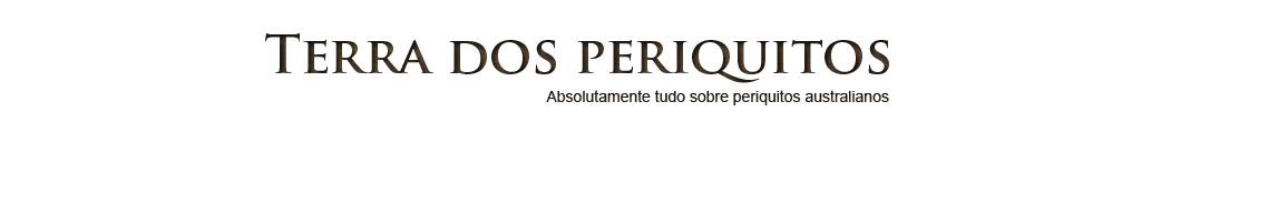 Terra dos Periquitos - Absolutamente tudo sobre periquitos australianos