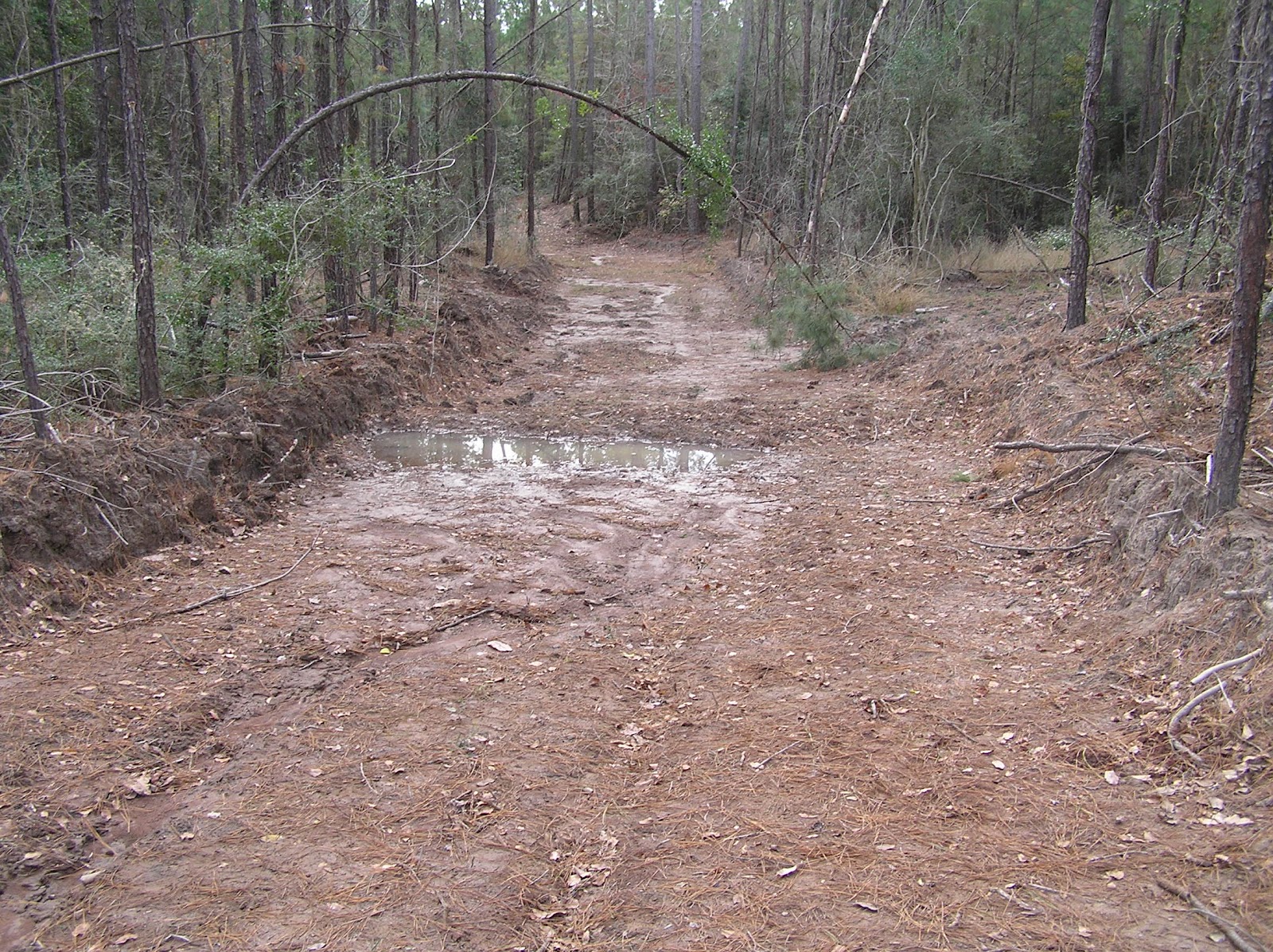 Texas A&M Forest Service Water Resources The basics of waterbars and
